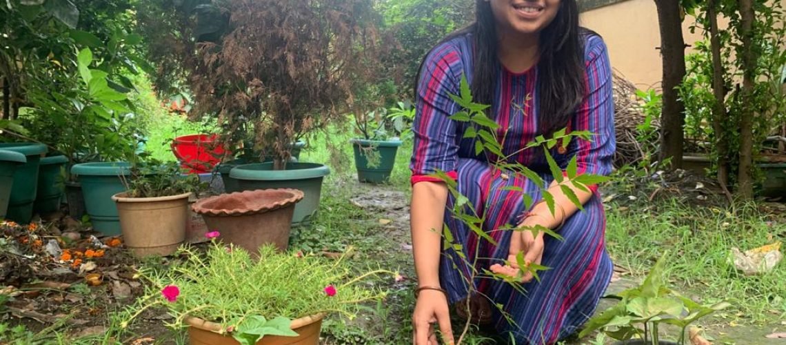 neem-plantation